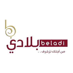 Beladi Gypsum & Decoration